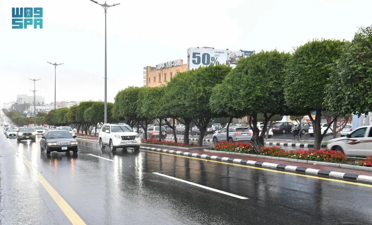 أمطار منطقة عسير