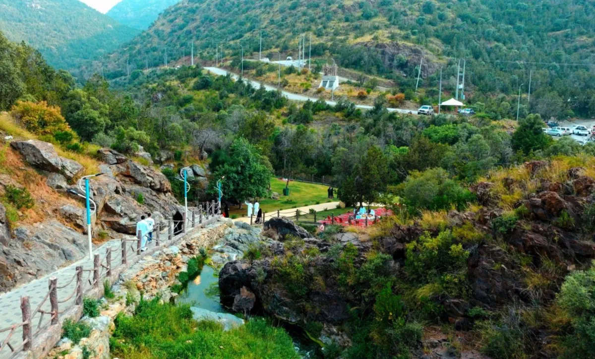 منطقة الباحة