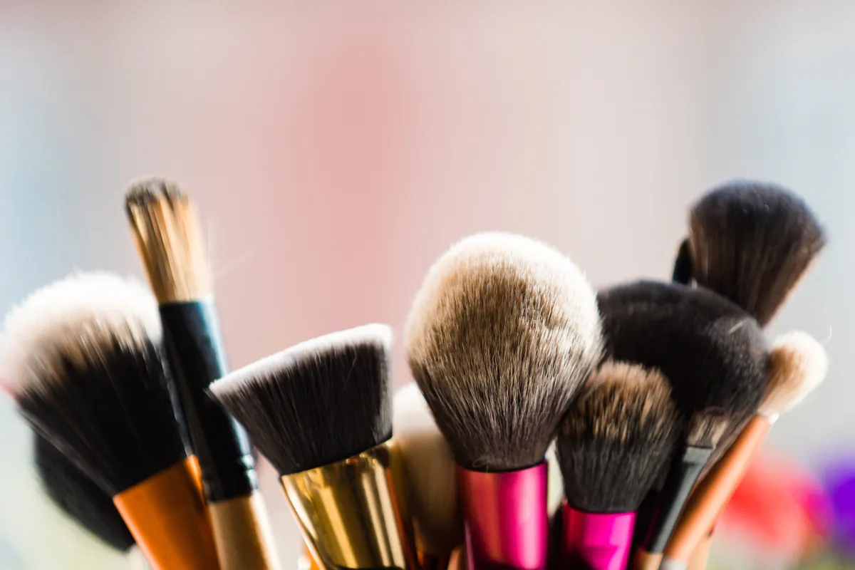 فراشي المكياج من أنواع مختلفة