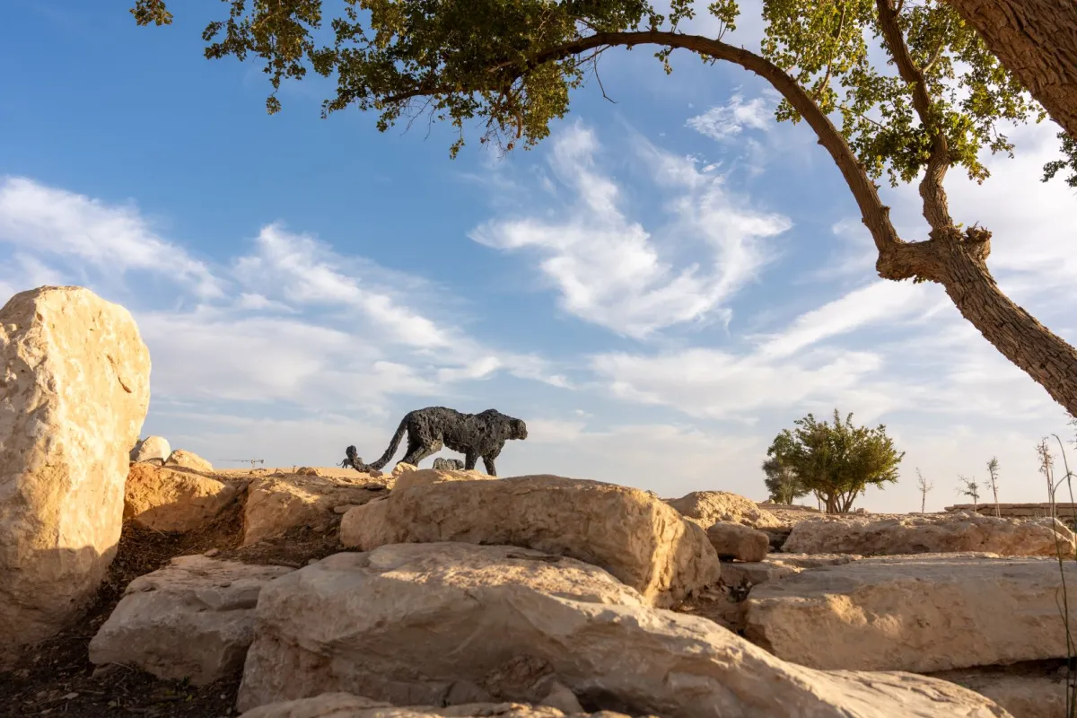 الرياض آرت بالتعاون مع السفارة الإيطالية يعلن عن اكتمال توزيع منحوتات   الفنان العالمي دافيدي ريفالتا في الرياض 