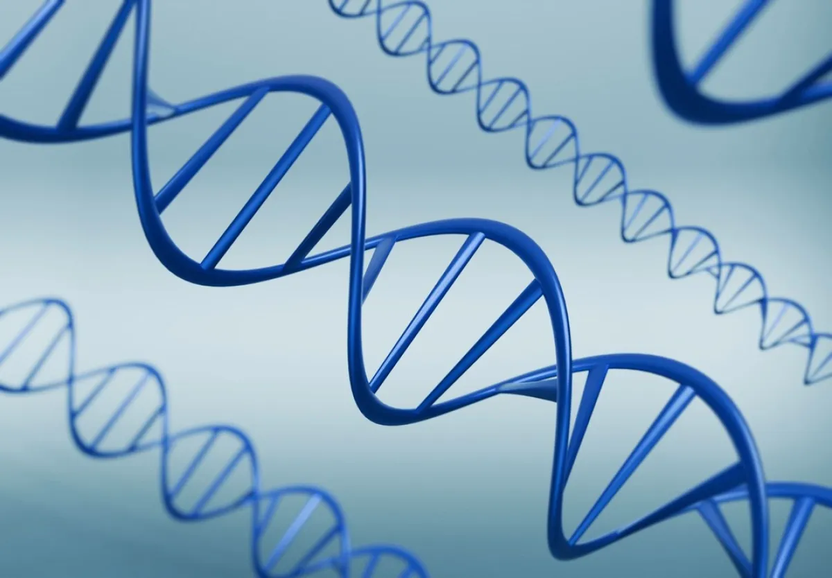 "كاوست" تكتشف عبر دراسة بحثية جينًا مرتبطًا بتشوهات القلب لدى الأطفال - الصورة من موقع كاوست