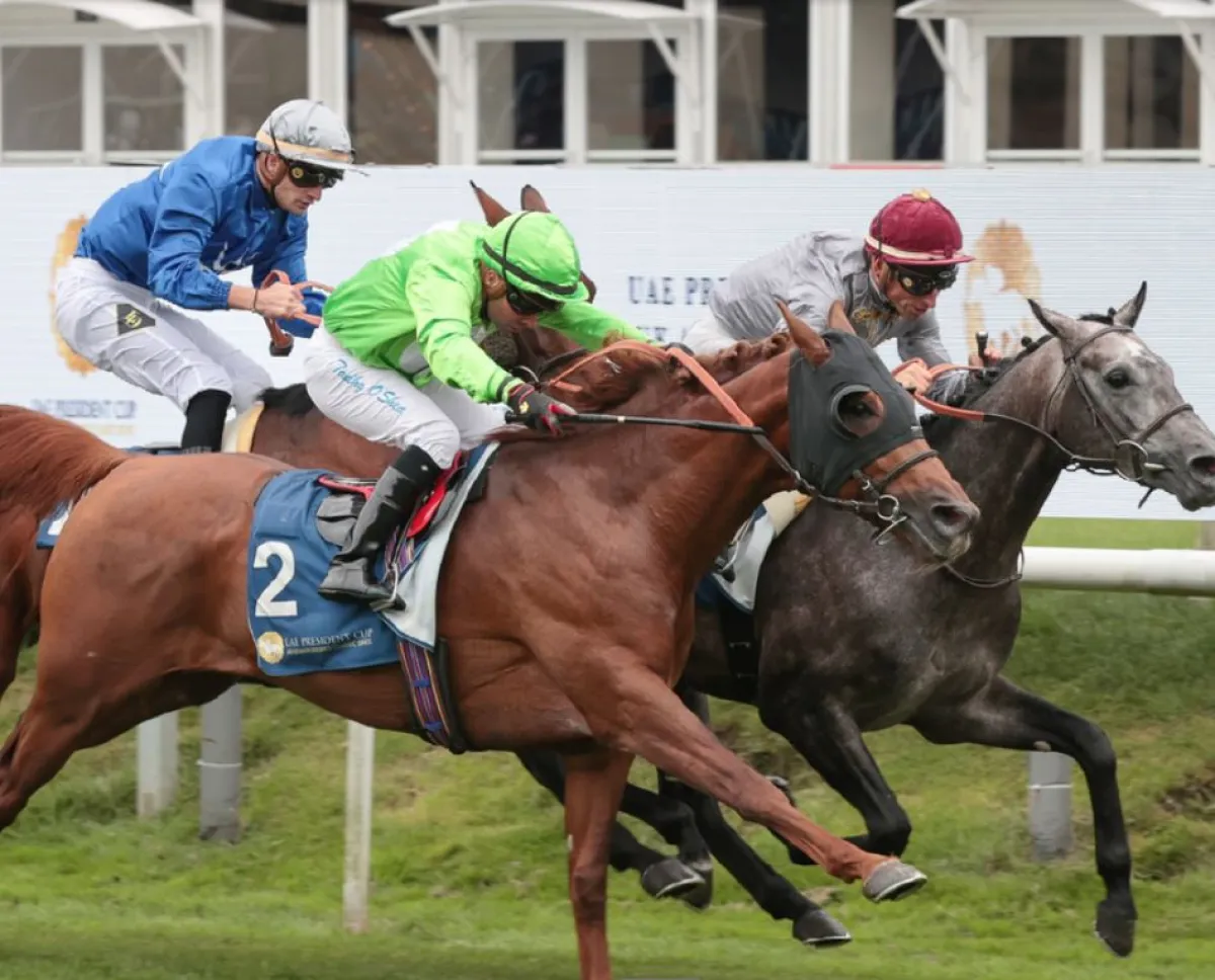 النسخة الـ 32 من كأس رئيس الدولة للخيول العربية الأصيلة تعلن أجندة سباقاتها العالمية - الصورة من مكتب أبوظبي الإعلامي 