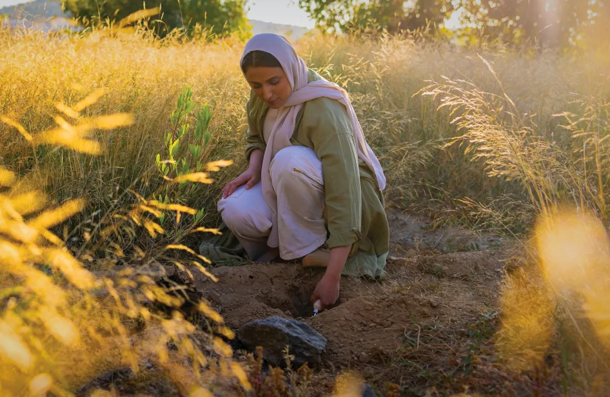 الاحتفاء بيوم مبادرة السعودية الخضراء 27 مارس - الصورة من موقع مبادرة السعودية الخضراء 