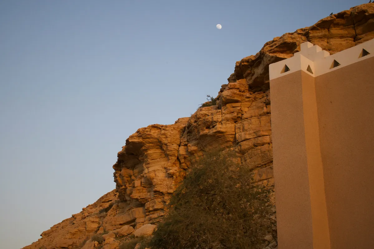 إنتاج لون الدرعية. الصورة من موقع unsplash