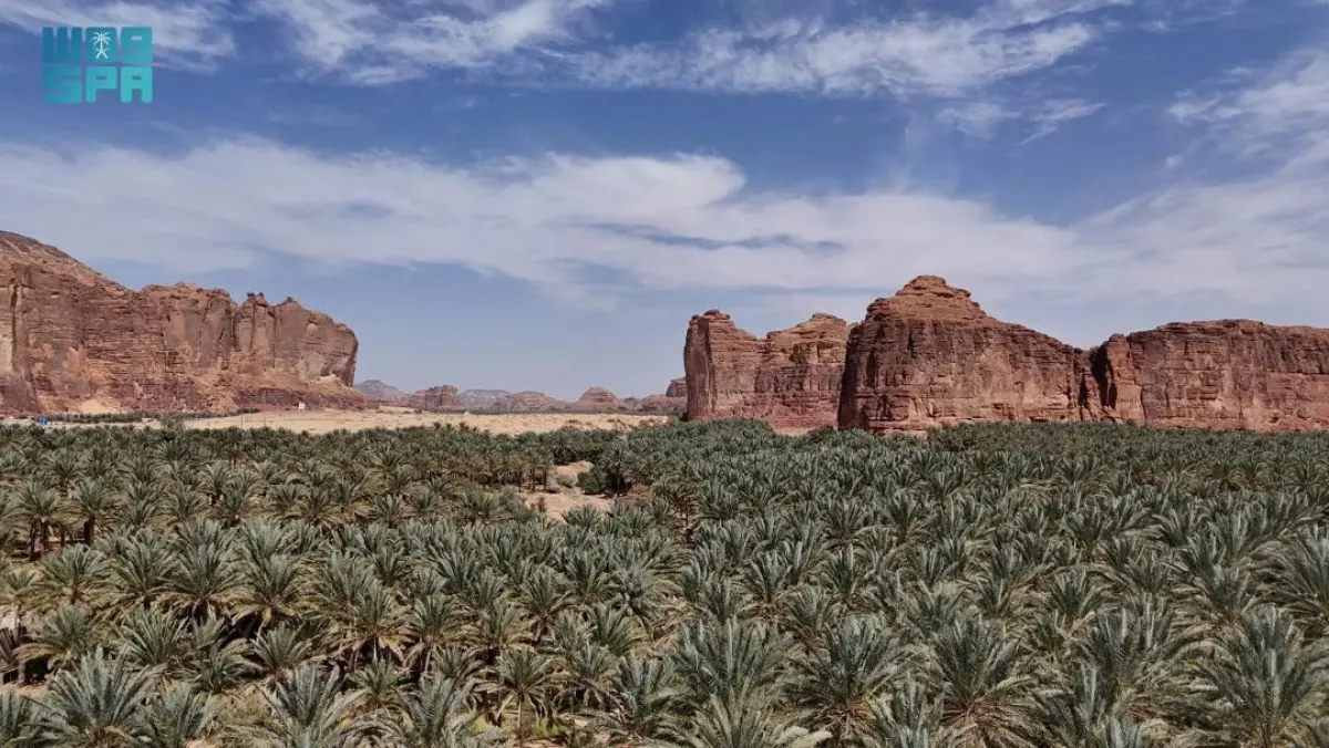 يأتي انضمام العلا إلى مؤشر المدن الذكية لأول مرة هذا العام، نتيجة للخطط الطموحة التي تنفذها السعودية لتطوير المدينة بوصفها وجهة تراثية وثقافية وسياحية ذكية