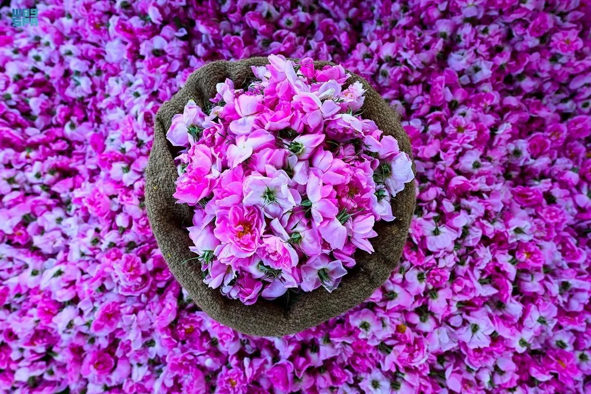 الورد الطائفي