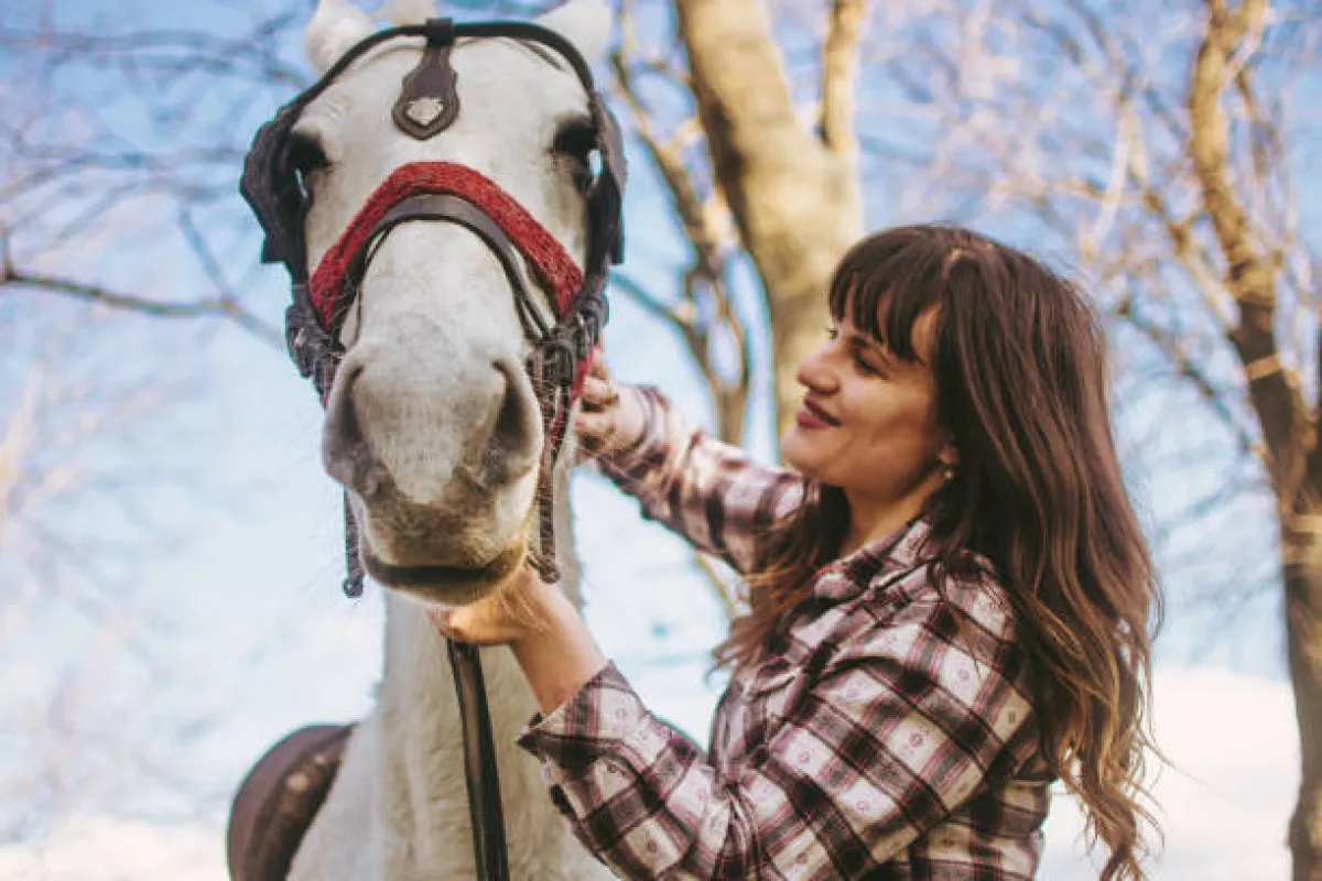 تفسير حلم رؤيا الحصان في المنام للعزباء