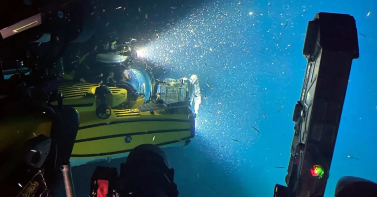  أنظمة بيئية مقاومة في مناطق منخفضة الأوكسجين ضمن شعاب البحر الأحمر المرجانية