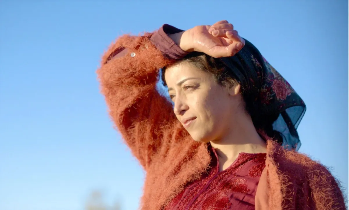 من فيلم في حب تودة الصور من شركة الصور العربية للتوزيع السينمائي