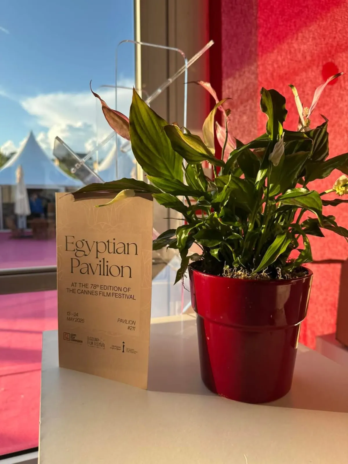 الجناح المصري بمهرجان كان- الصورة من المركز الصحفي