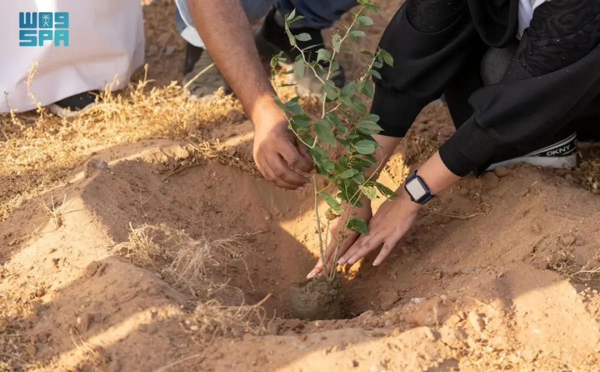 تأتي هذه الجهود في سياق الدور المحوري الذي يقوم به المركز في حماية الغطاء النباتي وتنميته
