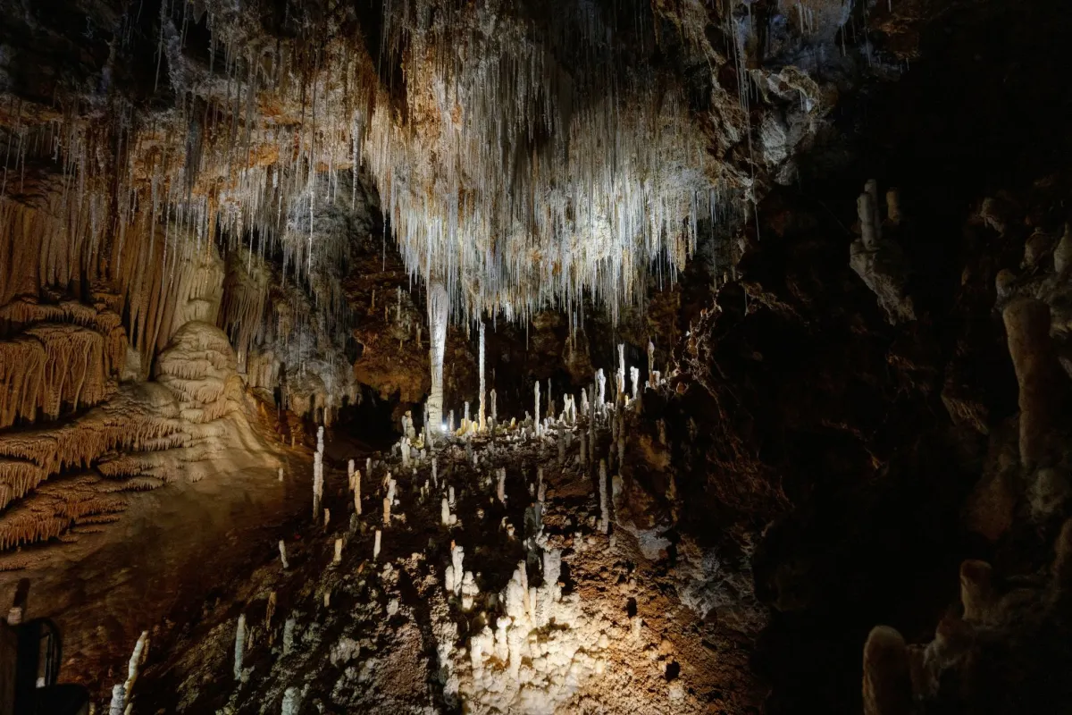 اكتشاف شبكة كهوف عملاقة تحت غابة بريطانية