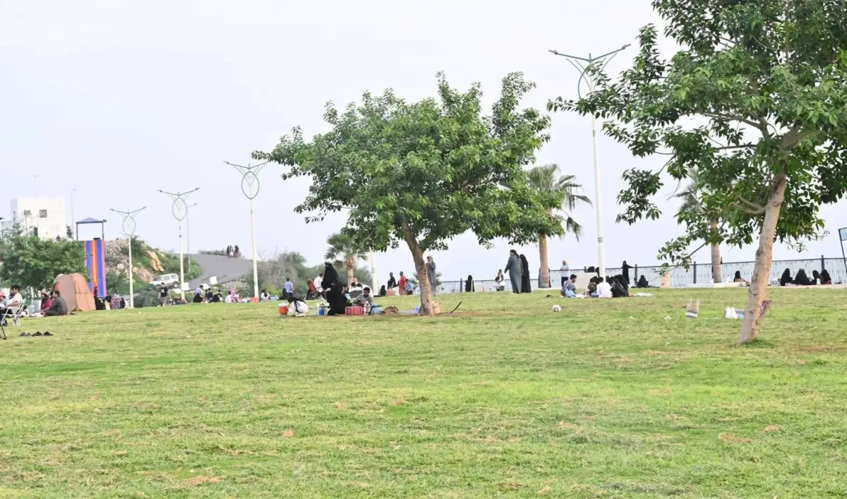 مناطق السعودية تستعد لاستقبال عيد الأضحى المبارك - الصورة من إحدى الحدائق في جازان بعدسة واس