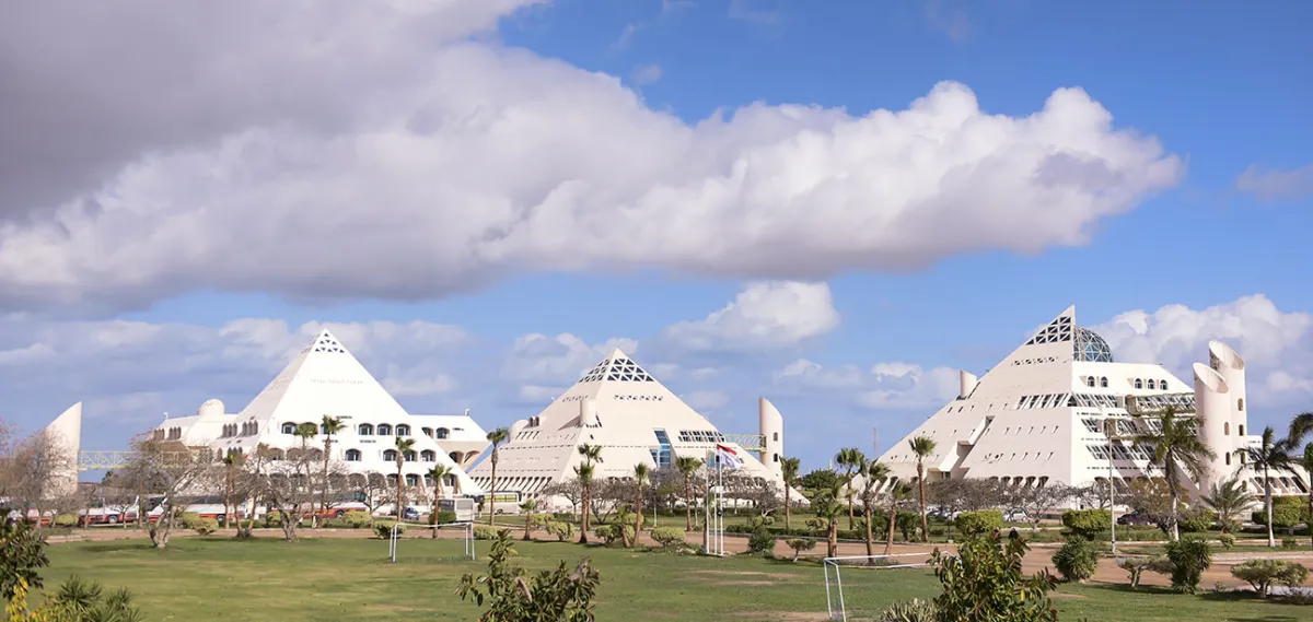 فريق بحثي بمدينة الأبحاث العلمية والتطبيقات التكنولوجية بمصر يعلن اكتشاف نوع جديد من الفطريات - الصورة من موقع المدينة الرسمي