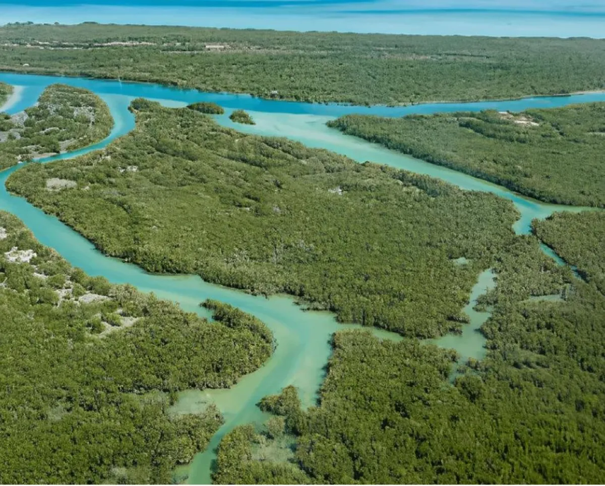 هيئة البيئة – أبوظبي أول جهة تنظيمية في دولة الإمارات تحصل على شهادة الحياد الكربوني مرتين - الصورة من مكتب أبوظبي الإعلامي