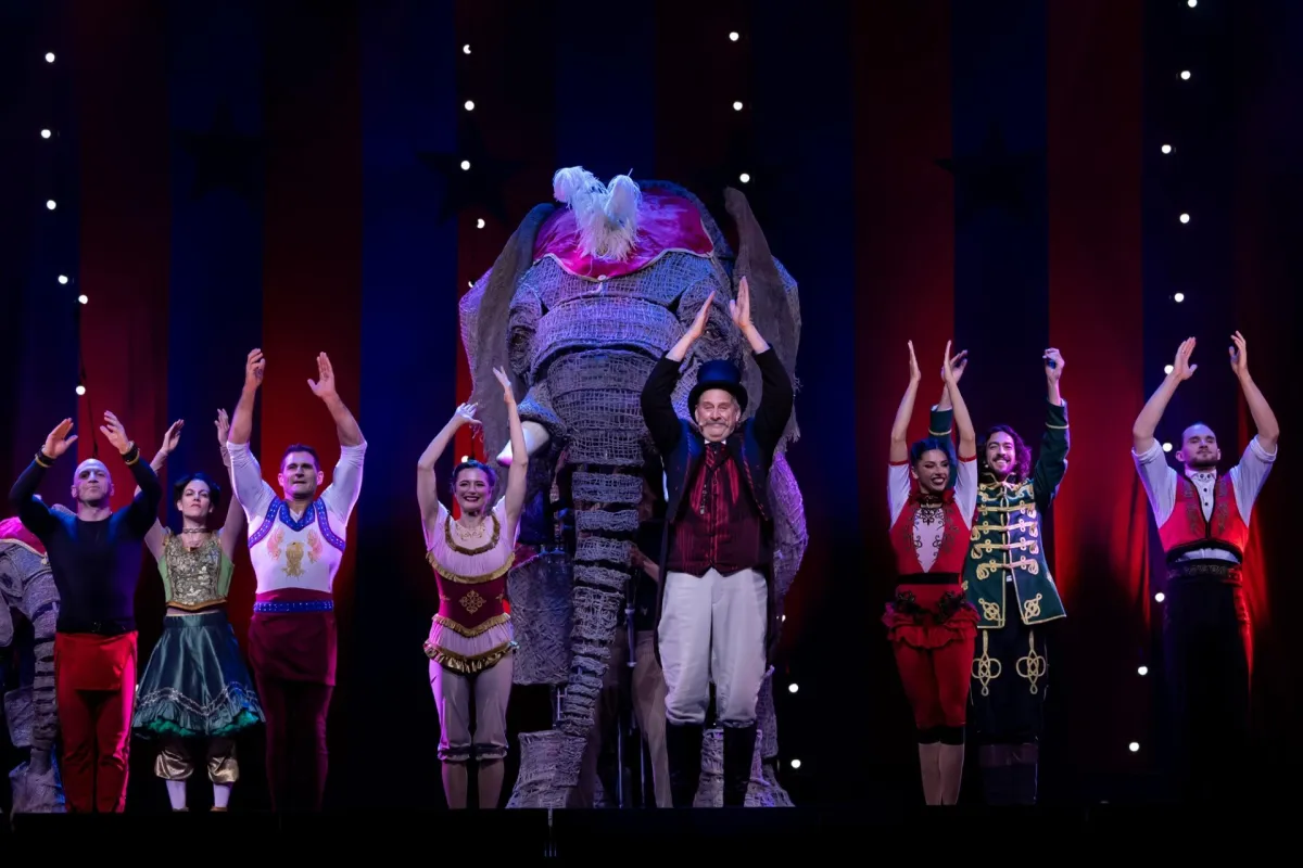 سيرك 1903 العالمي