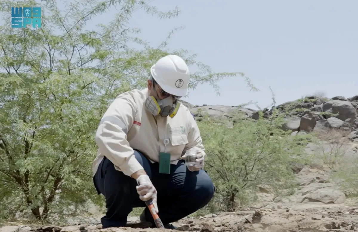 الالتزام البيئي