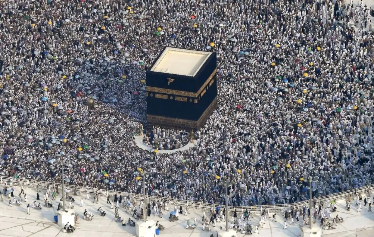 تأتي هذه الأرقام المسجلة في إطار عمل مؤسسي منسّق يجمع بين الجهات الحكومية والخدمية