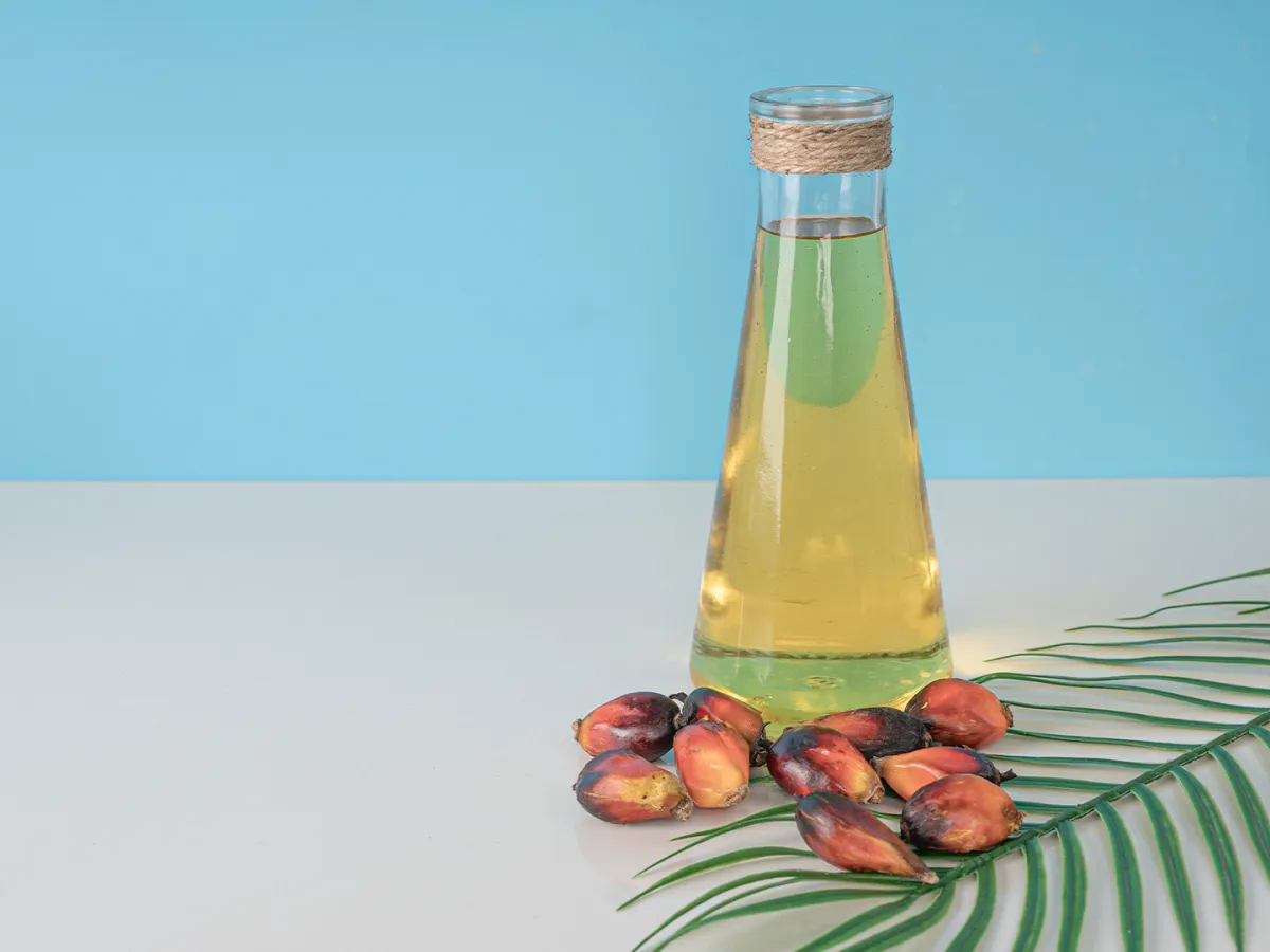 المصدر: elements envato by hmzphotostory - زيت النخيل مضرٌ بالصحة