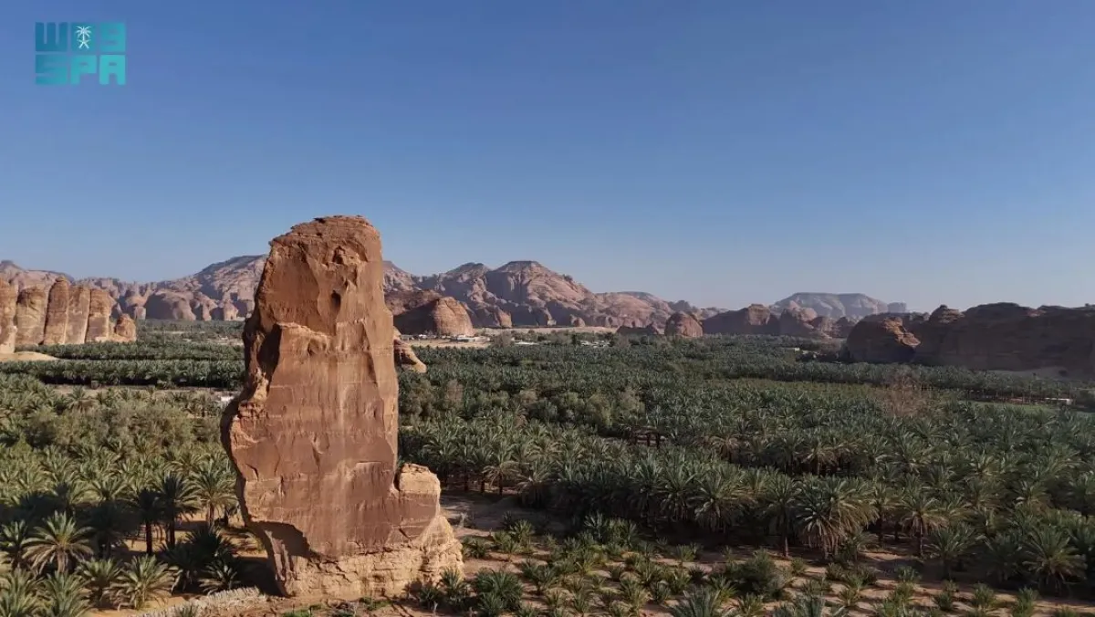 يهدف الموسم إلى دعم المنتجين المحليين وتمكينهم من عرض أجود محاصيلهم