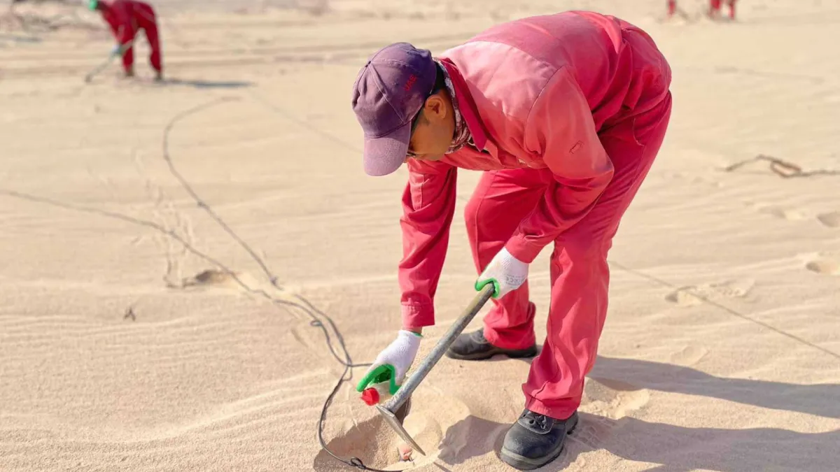المركز الوطني لتنمية الغطاء النباتي