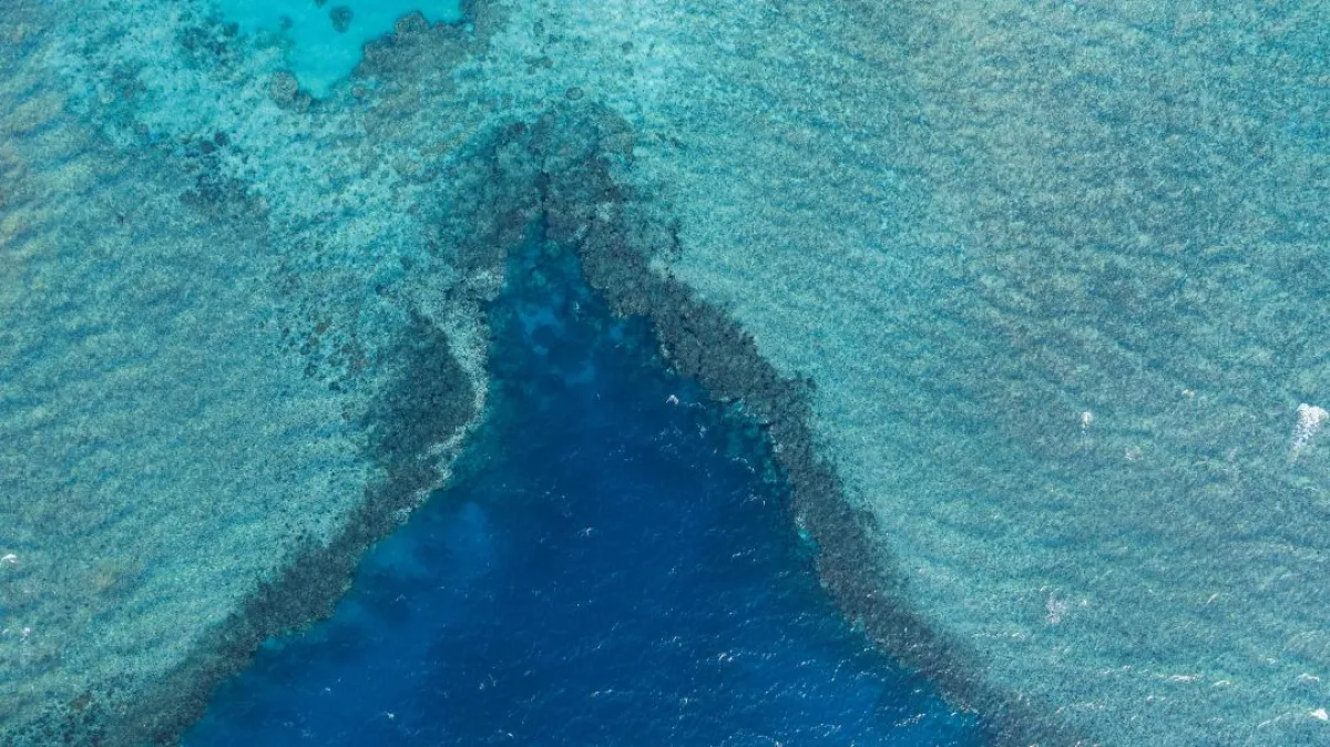 أكّدت الهيئة أن هذا الاحتفاء يأتي في إطار اعتزازها بكل العاملين في القطاع البحري، وبما يقدمونه من دور فاعل في نهضة هذا القطاع 