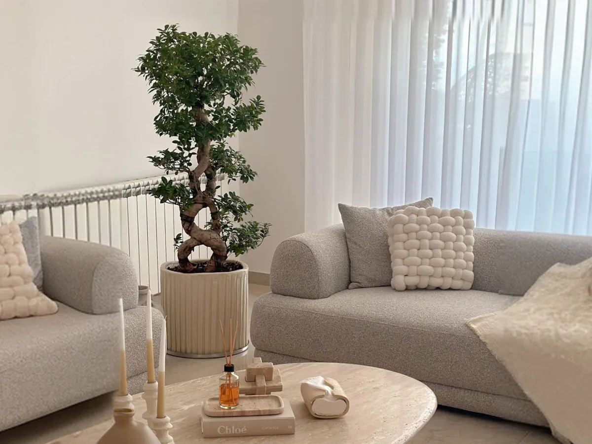 غرفة معيشة مودرن