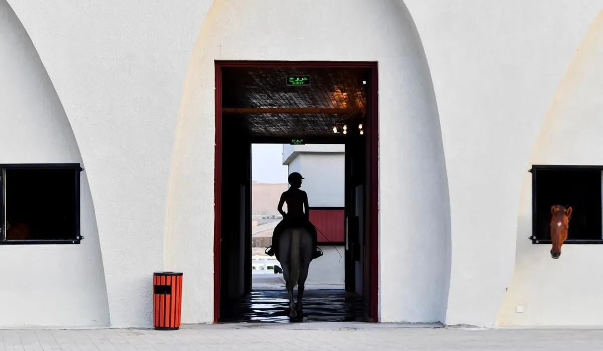 مرابط الخيل وجهة تجمع عشاق الفروسية - الصورة من وكالة الأنباء السعودية "واس"