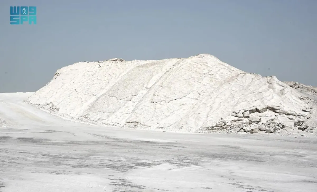  السبخات الملحية توجَد في العديد من مناطق السعودية 