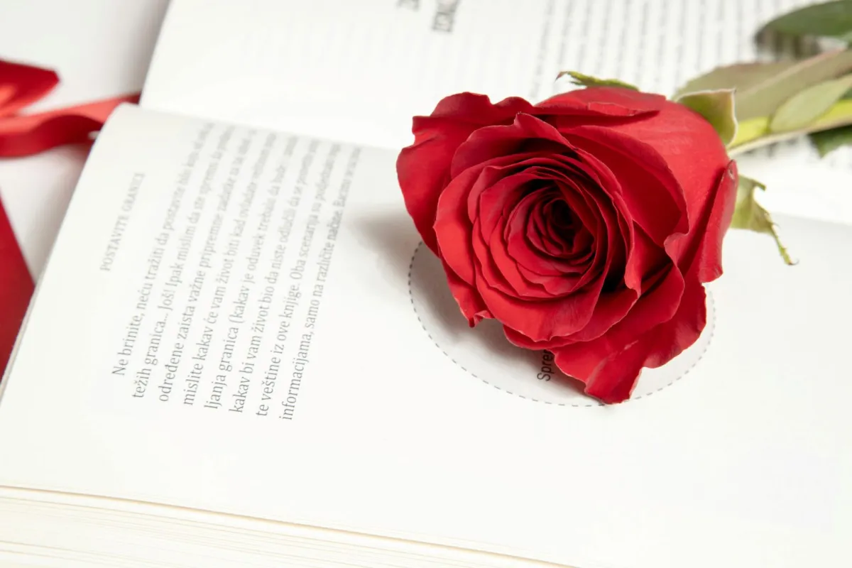 رواية رومانسية عليها وردة حمراء