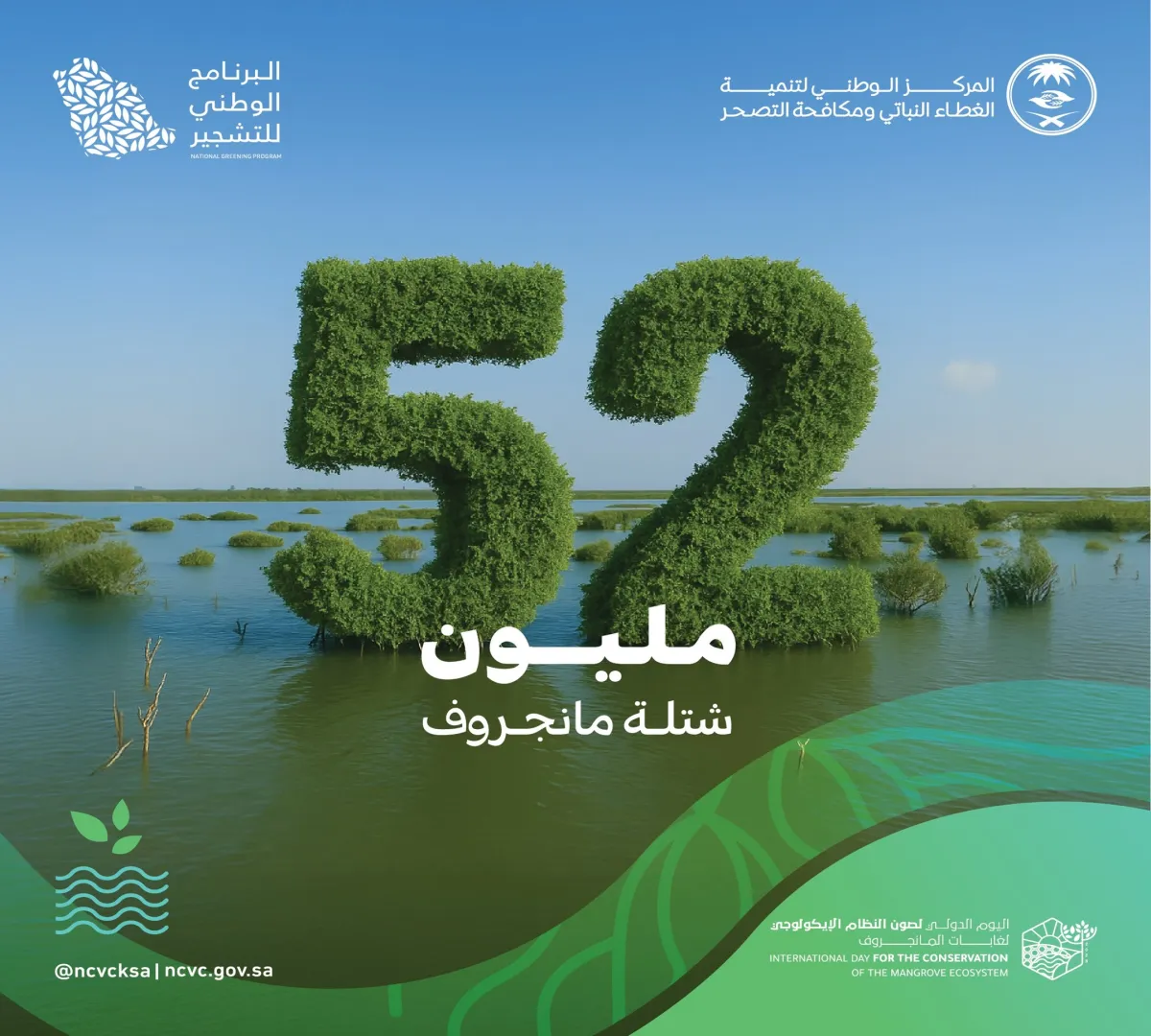 شجر المانجروف