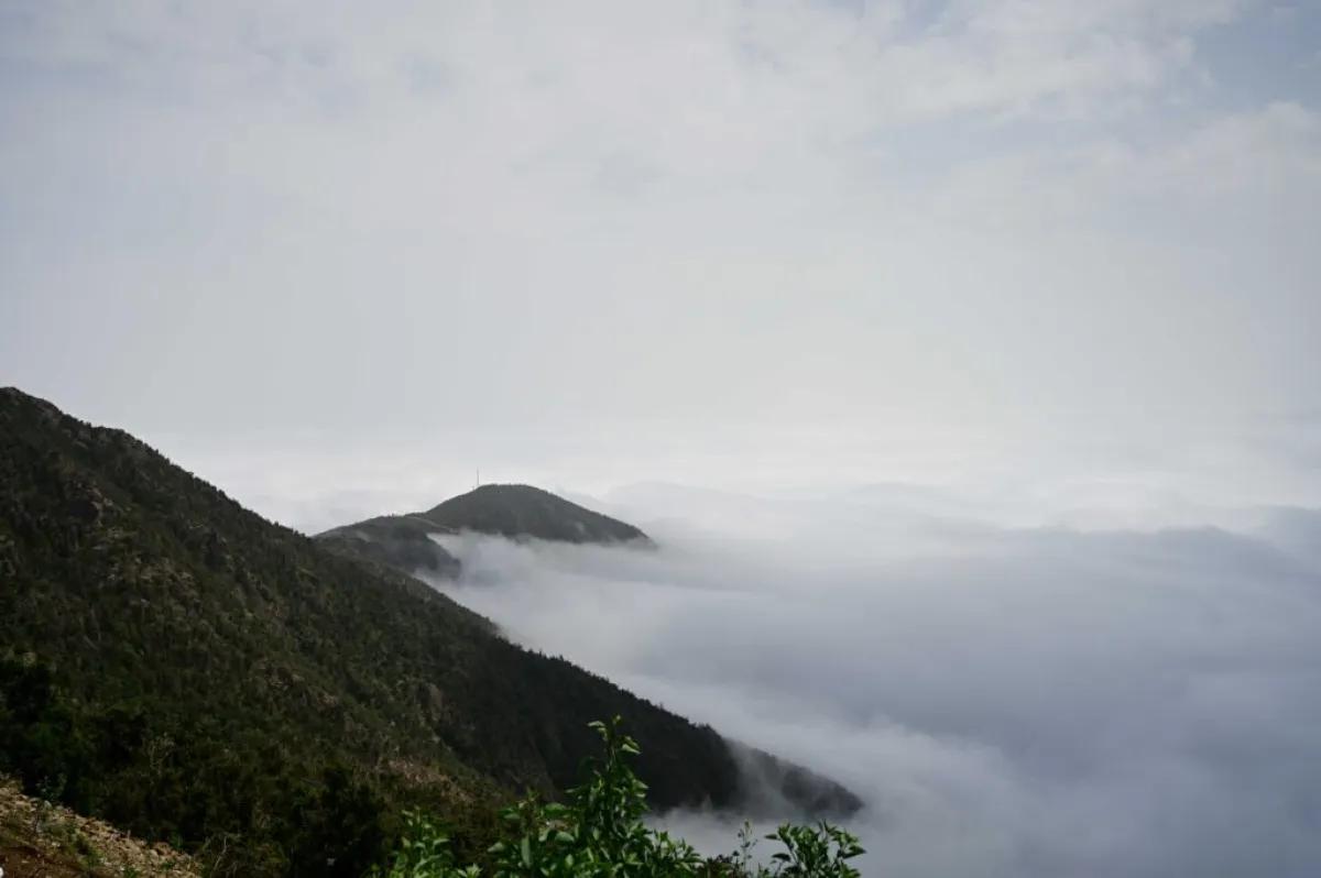 ويتميز طقس جبال السودة بعسير باختلافه وتميزه عن باقي مناطق السعودية