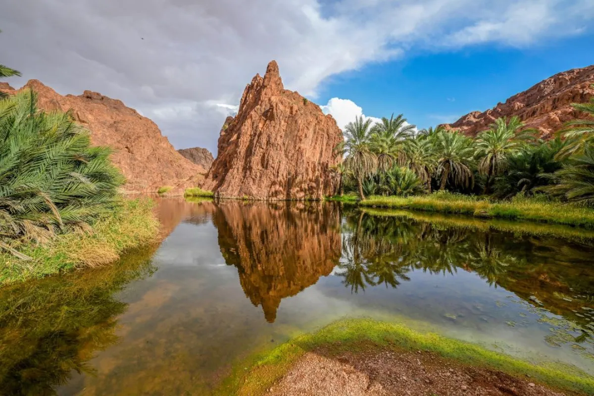 الطبيعة في منطقة حائل