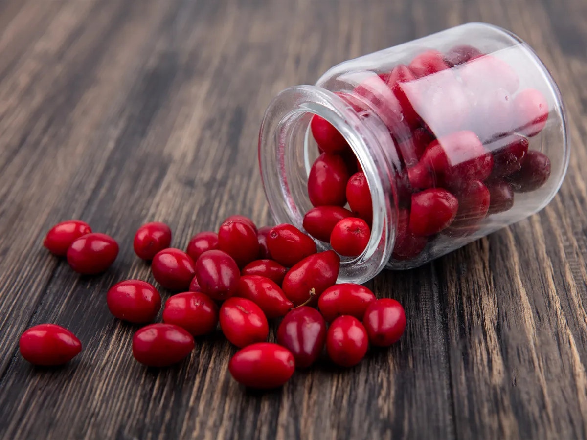 البربارين مفيد للصحة- المصدر: freepik by stockking 