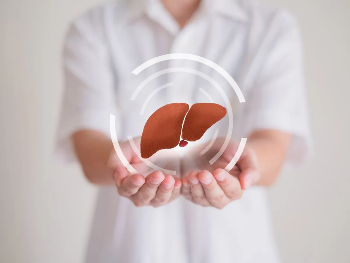 الكبد السليم