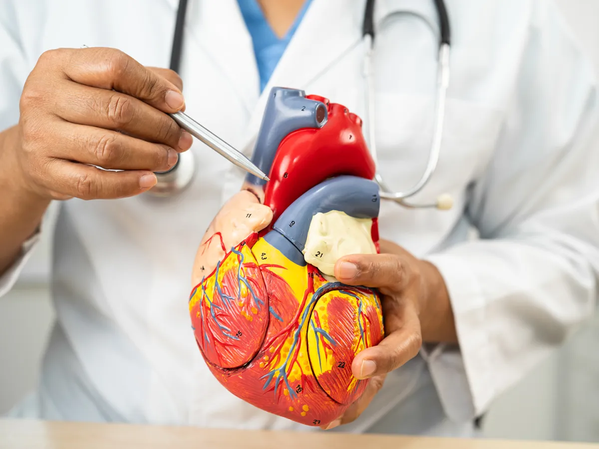 الرجفان الأذيني