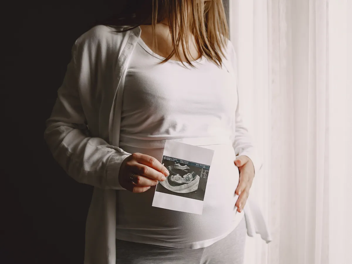 صورة حامل المصدر : Freepik