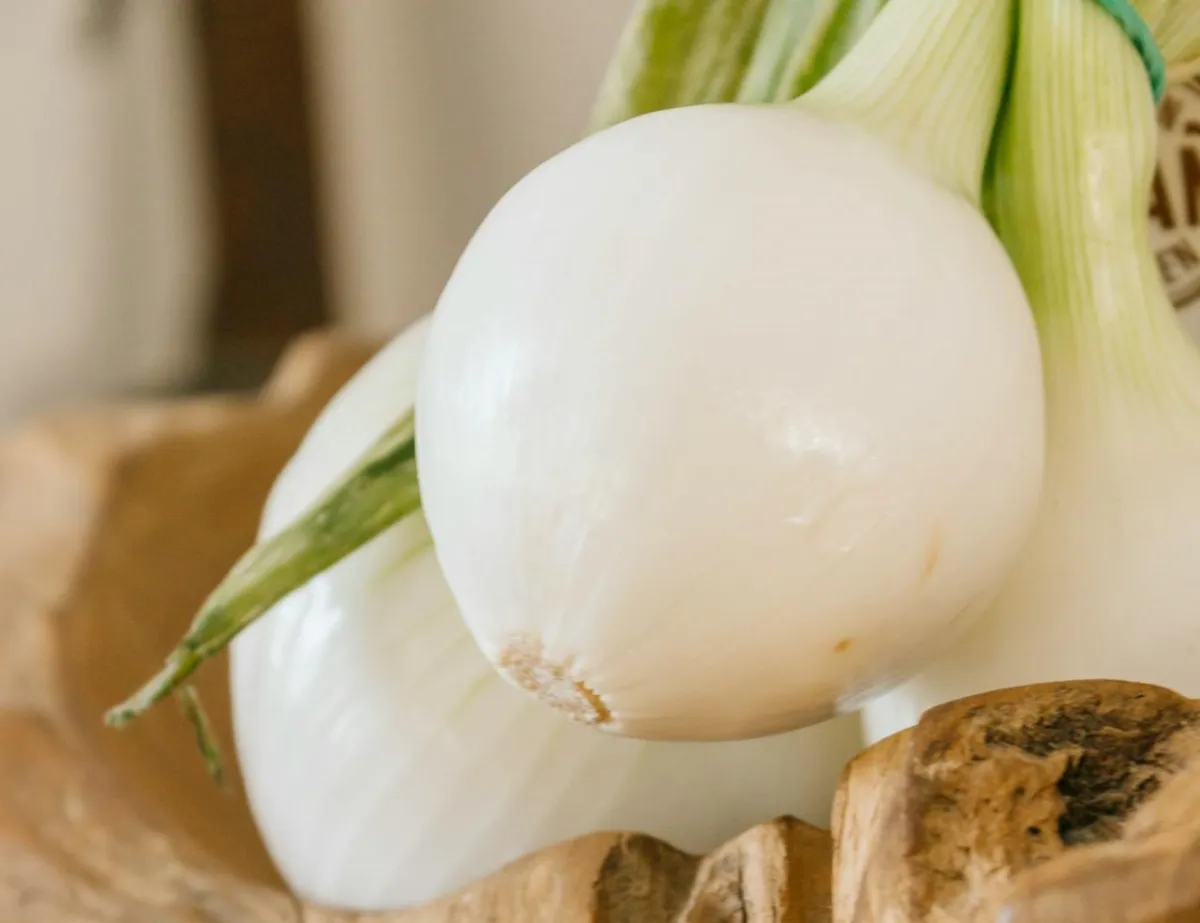 البصل الأبيض وفوائد جمّة