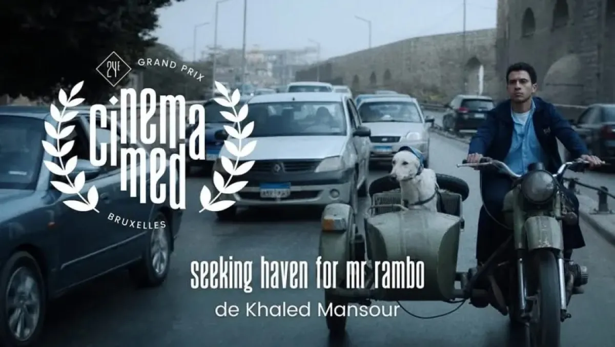 الملصق الدعائي لفيلم البحث عن منفذ لخروج السيد رامبو- الصورة من الشركة المنتجة