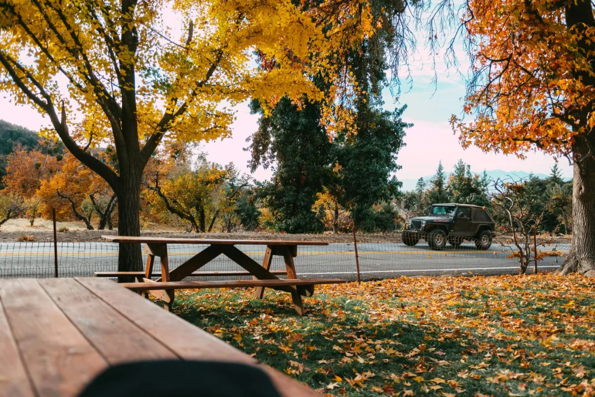 الخريف في أمريكا