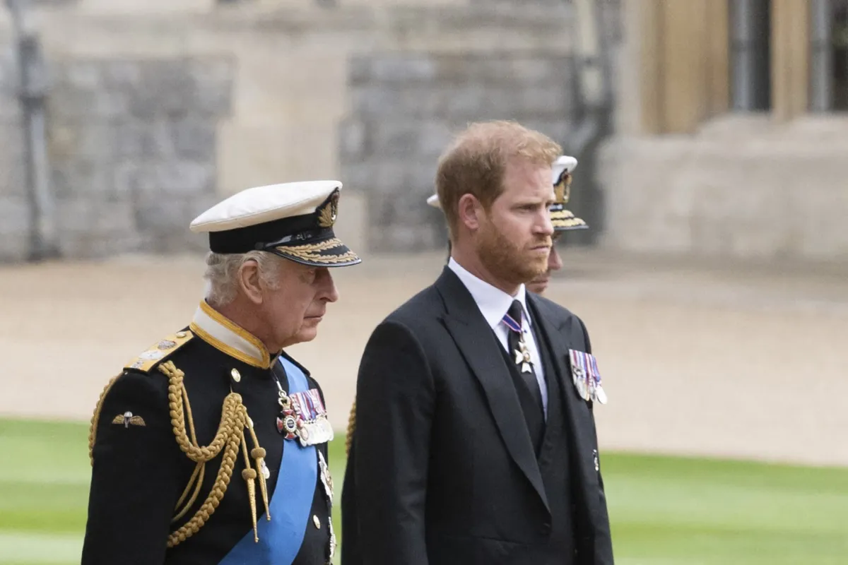 Prince Harry  King Charles III – مصدر الصورة Photo by DAVID ROSE / POOL / AFP