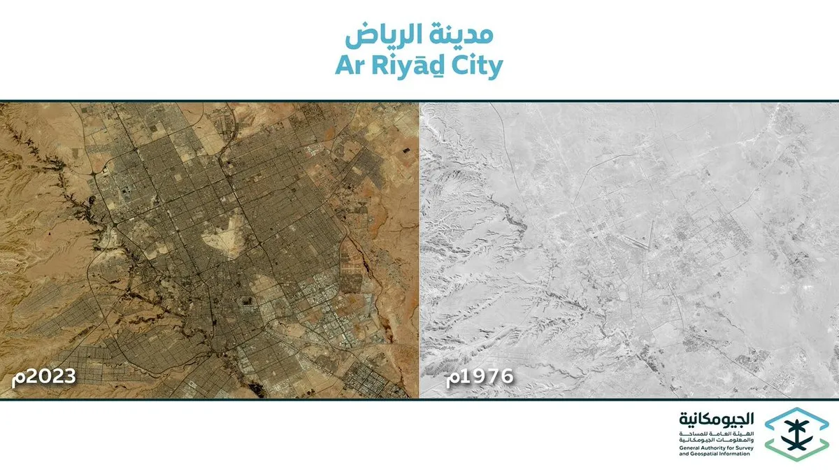 الجيومكانية