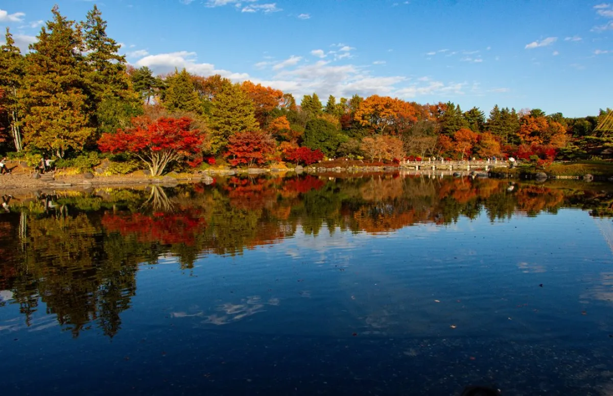 زيارة ممتعة إلى اليابان في الخريف