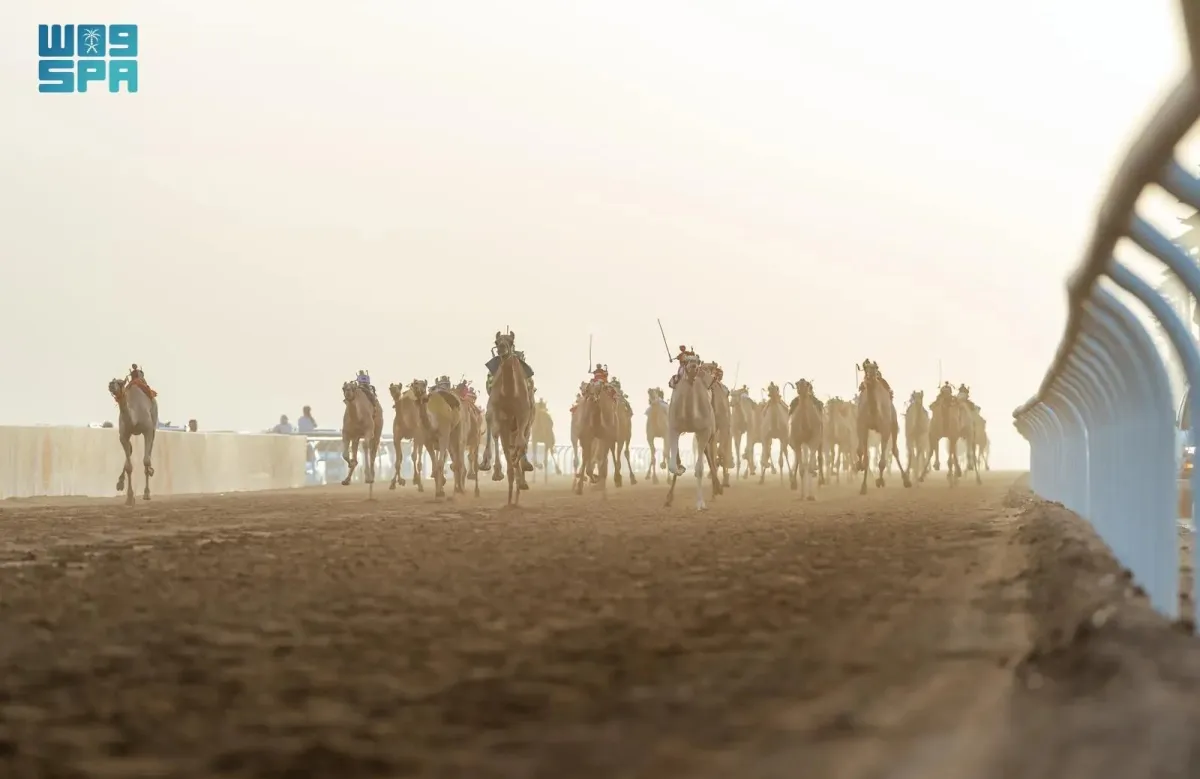 سباق ولي العهد للهجن - الصورة من وكالة الأنباء السعودية "واس"