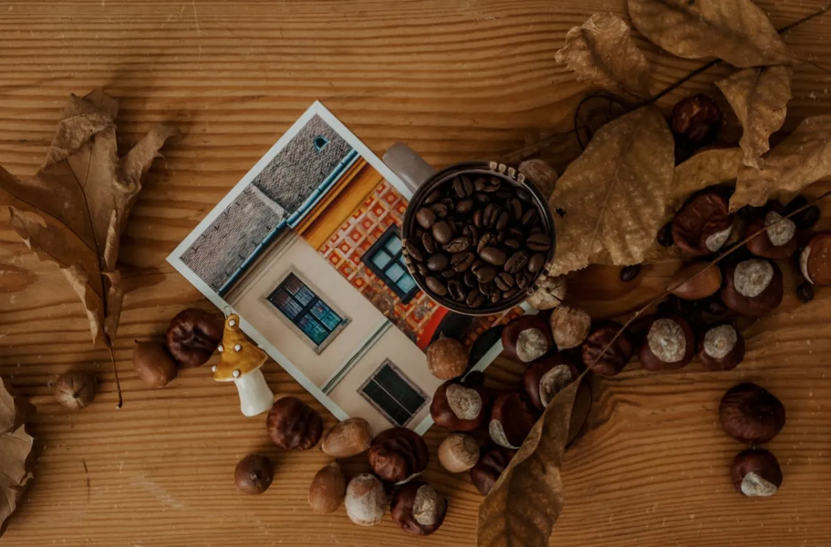 الكستناء صديقة النساء- المصدر: pexels-dagmara-dombrovska