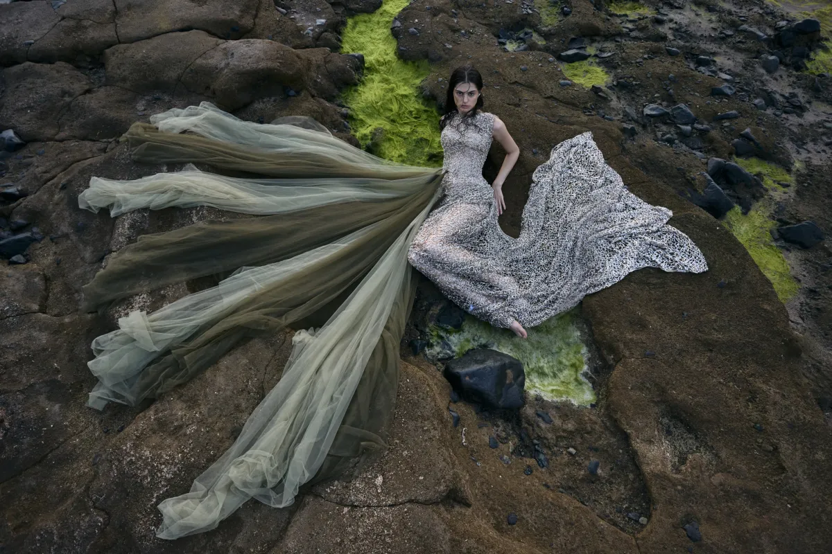 تصميم من علامة Anaya – الصورة من العلامة