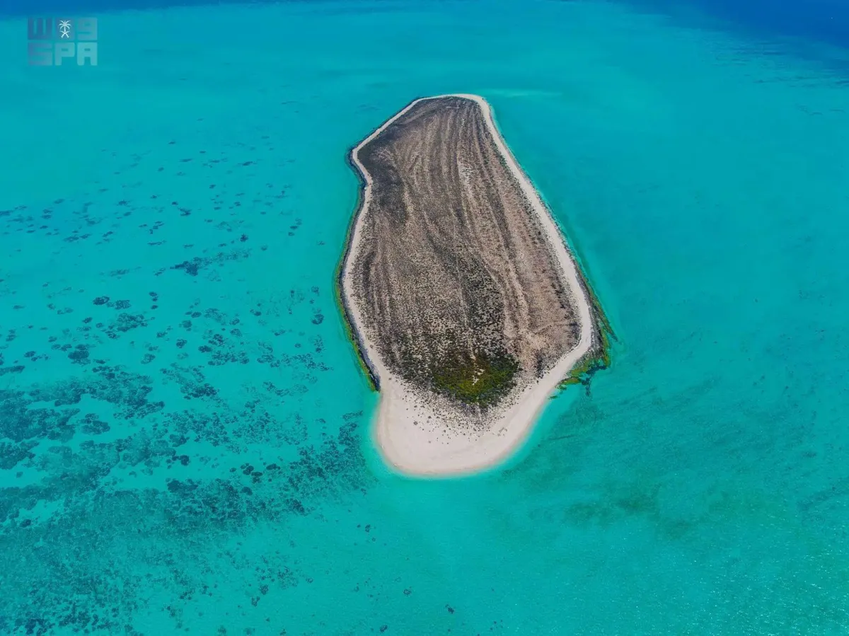 سواحل السعودية