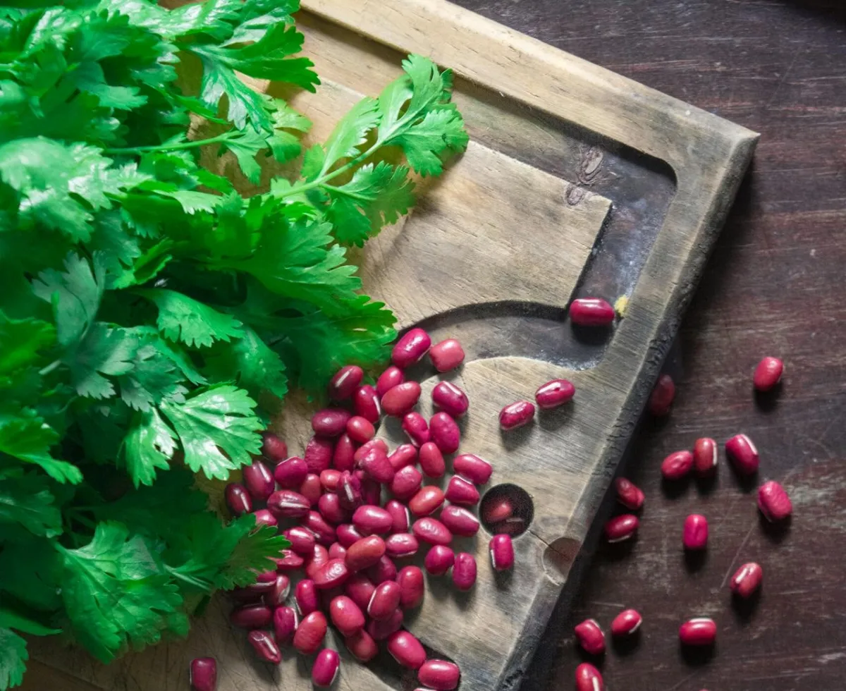 الفاصولياء الحمراء مفيدة جداً لصحتك- المصدر: pexels-nasty-fotografia