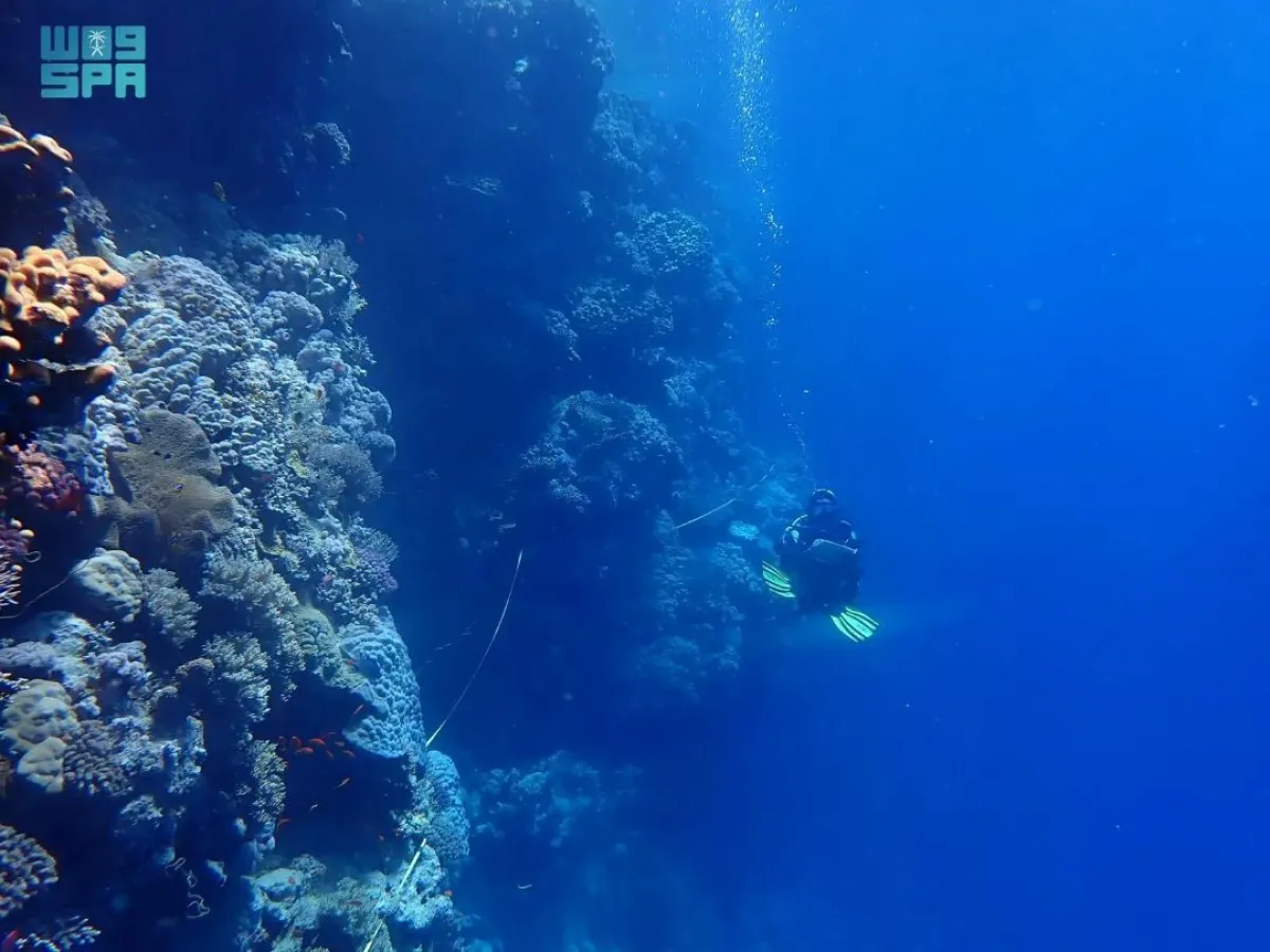 لدراسة تمثل نقلة نوعية في القدرة على مراقبة وحماية البحر الأحمر