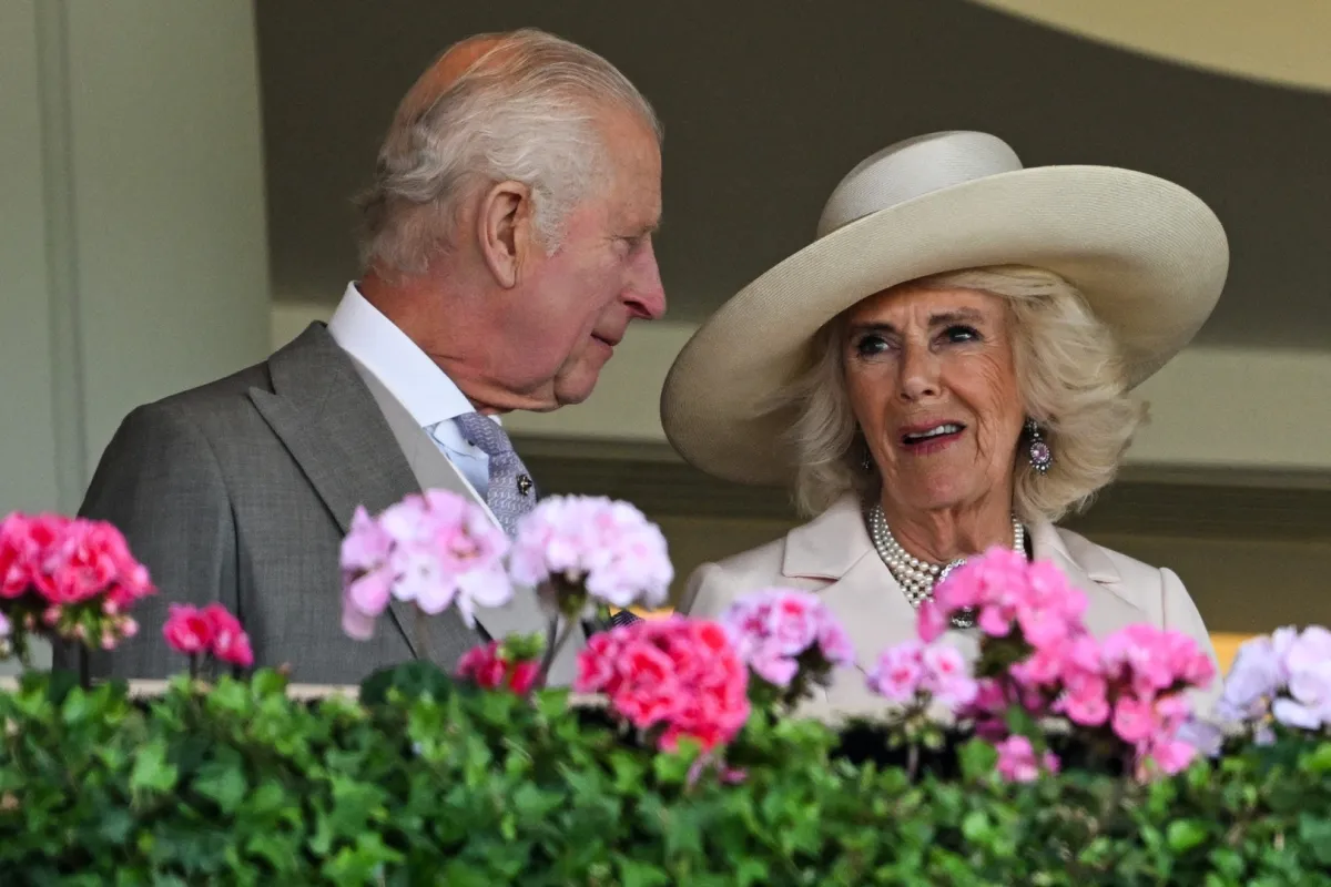 الملك تشارلز والملكة كاميلا في سباق رويال سكوت (مصدر الصورة: JUSTIN TALLIS / AFP)